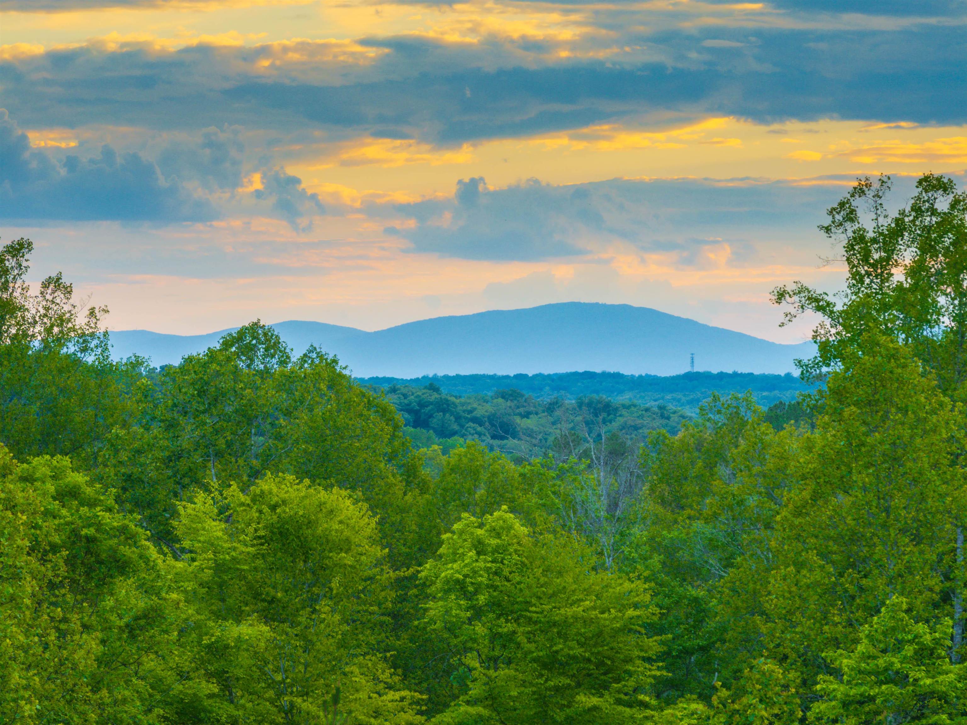 0 Gilbert Station Road Barboursville, VA 22923 - Photo 25 of 30