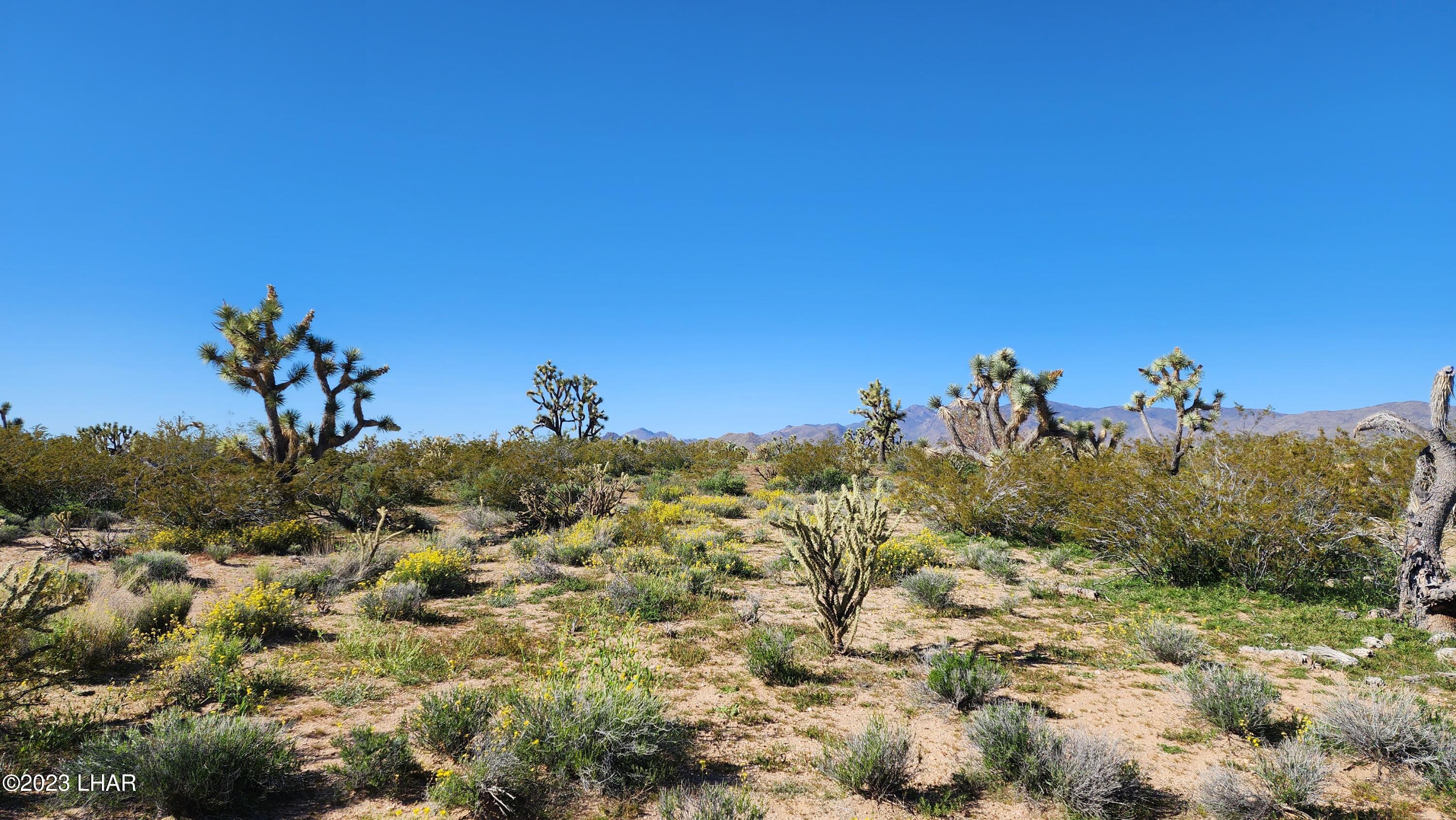 258 South Wagon Trail Road Yucca, AZ 86438 - Photo 11 of 42 20230402_155245