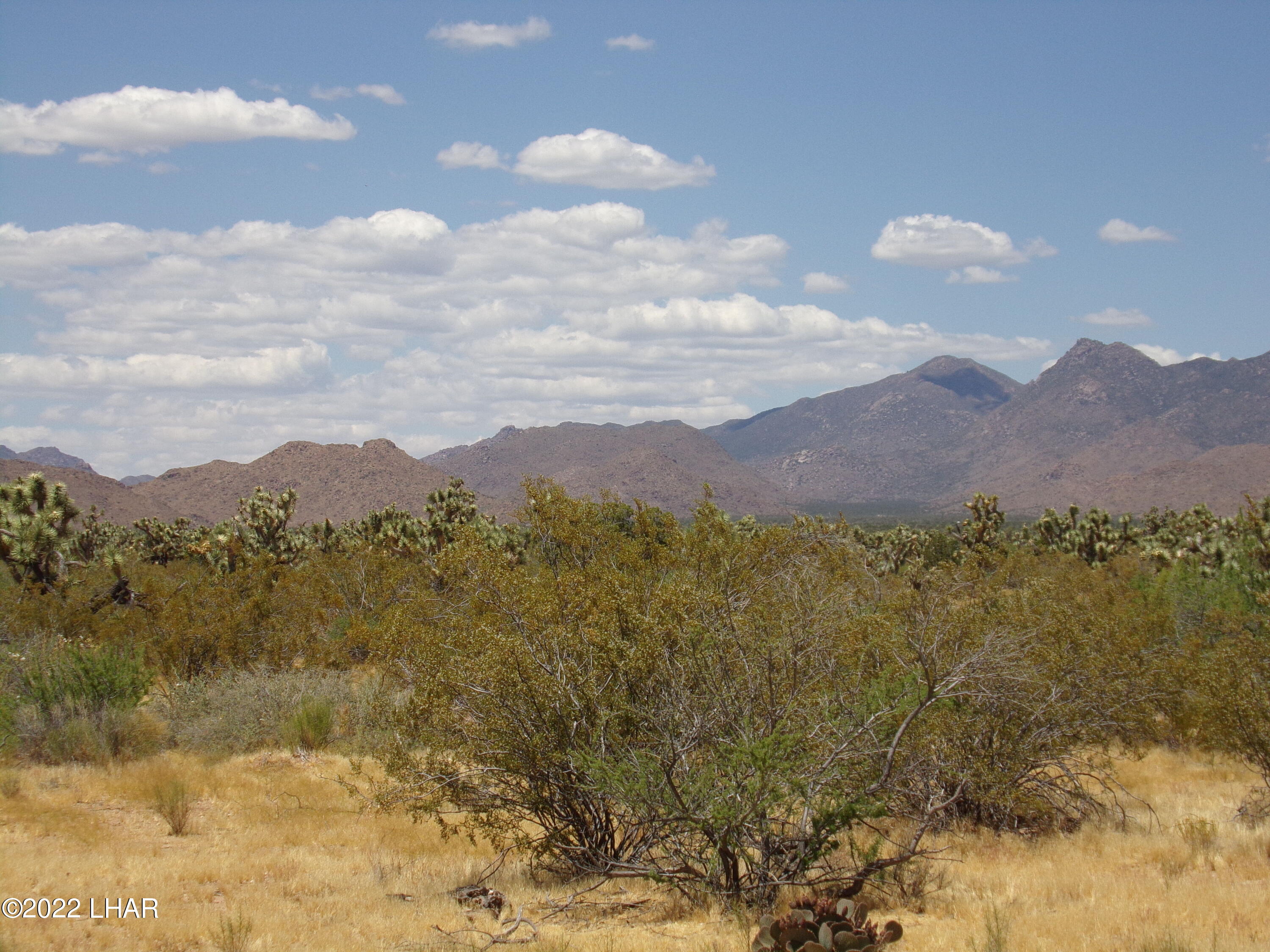 258 South Wagon Trail Road Yucca, AZ 86438 - Photo 15 of 42 Hualapai Mtns