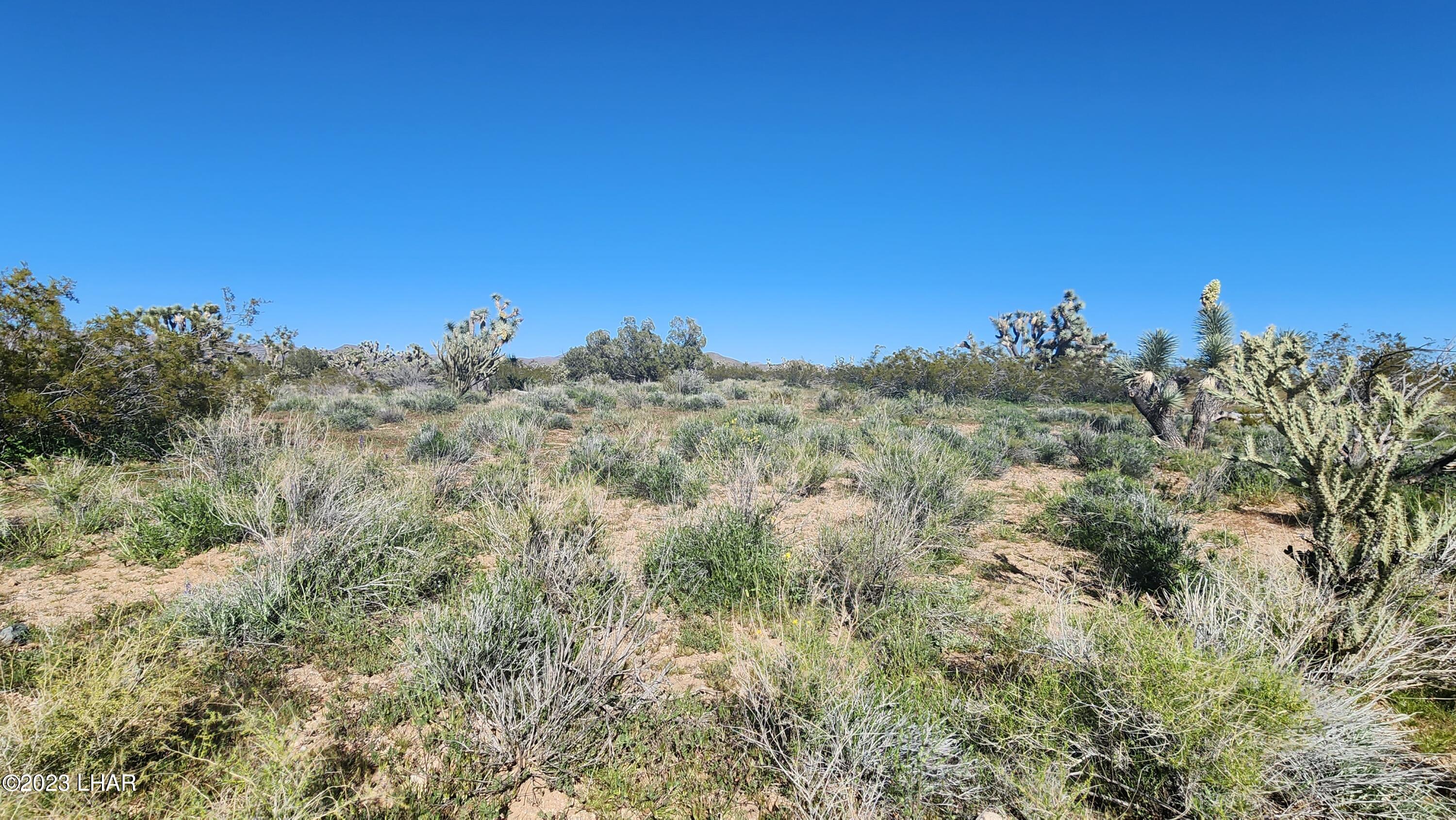 258 South Wagon Trail Road Yucca, AZ 86438 - Photo 40 of 42 20230402_155745