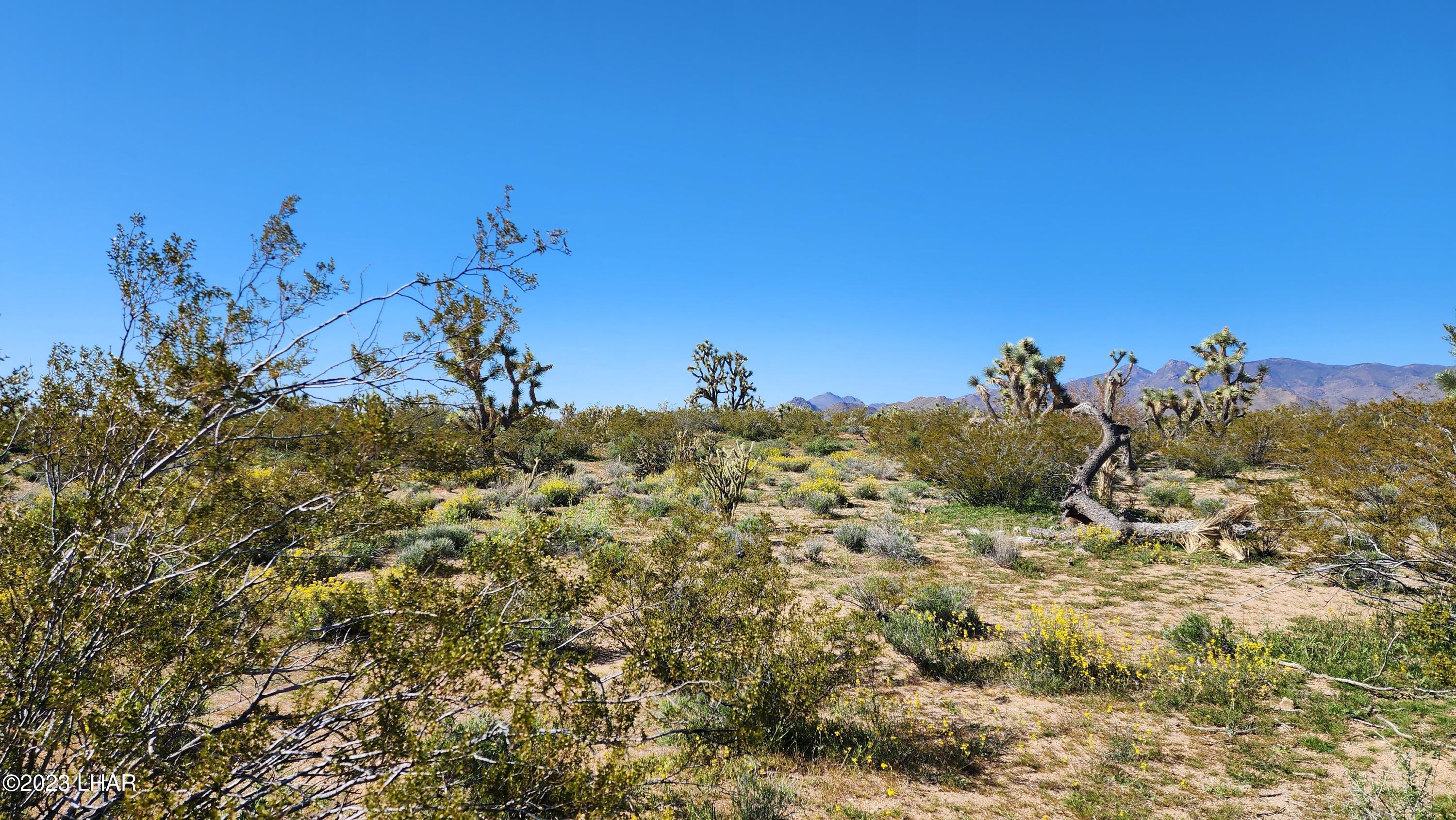 258 South Wagon Trail Road Yucca, AZ 86438 - Photo 4 of 42 40-Acres