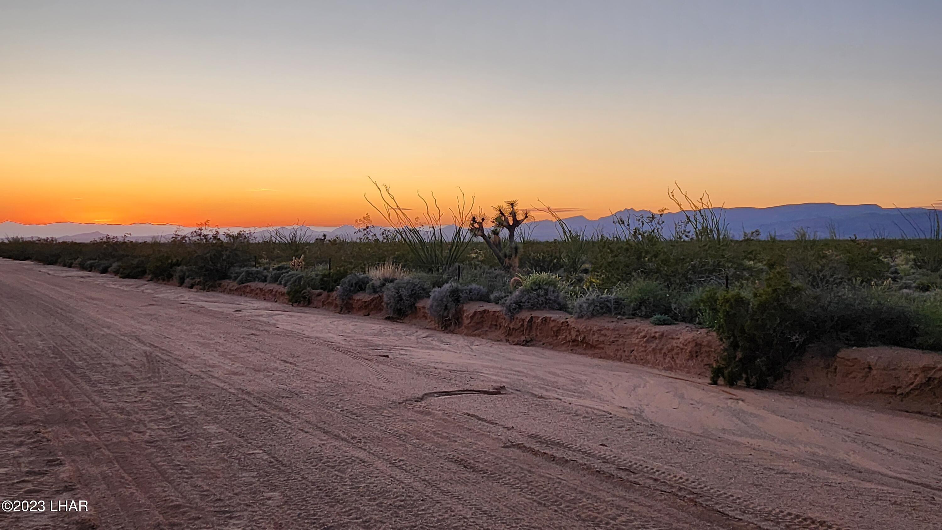258 South Wagon Trail Road Yucca, AZ 86438 - Photo 42 of 42 20230402_190238