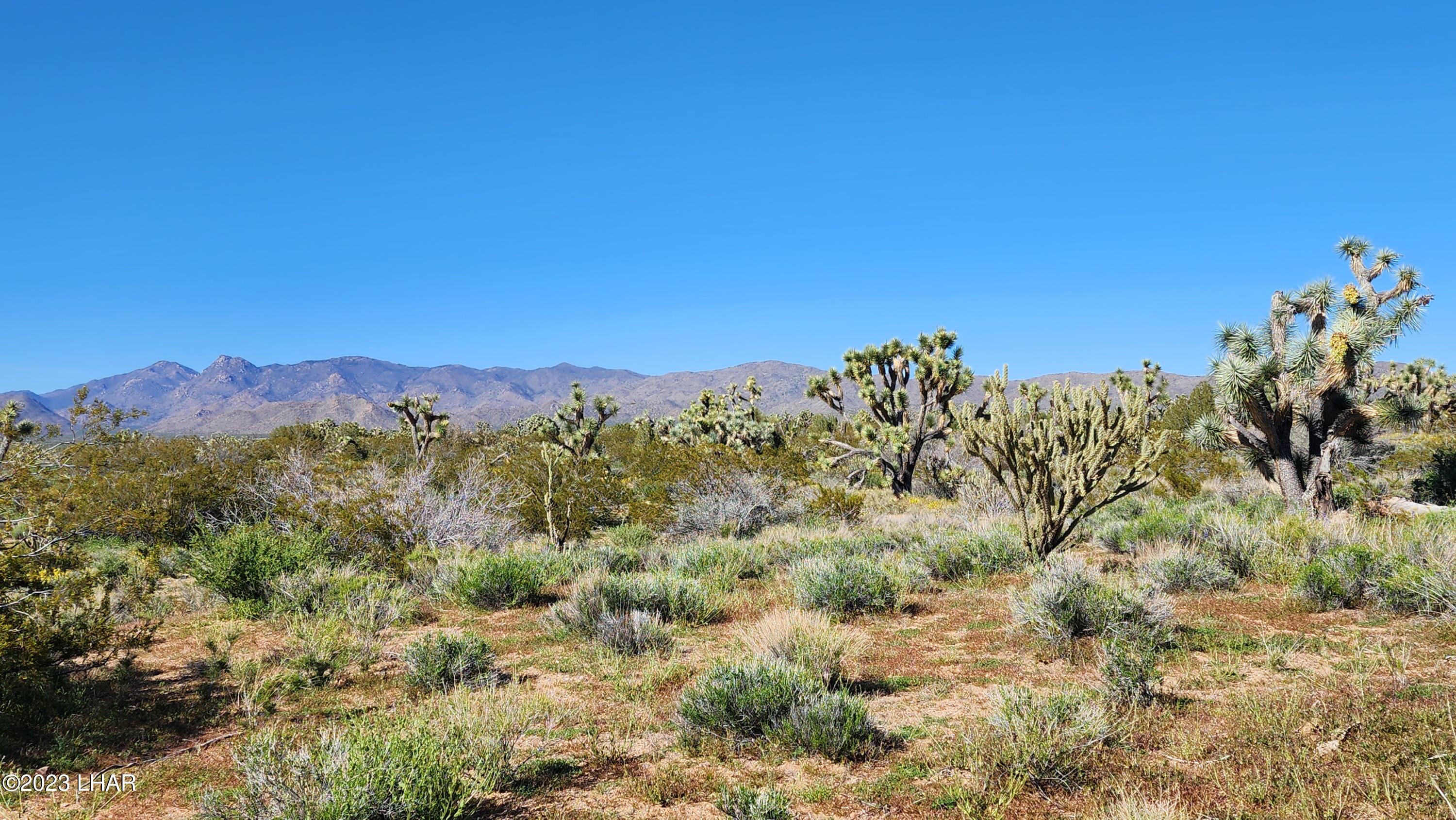 258 South Wagon Trail Road Yucca, AZ 86438 - Photo 6 of 42 20230402_155807
