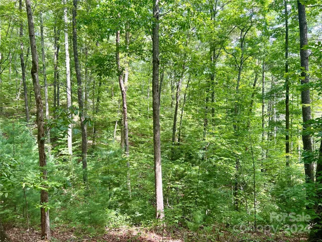 a view of outdoor space and trees