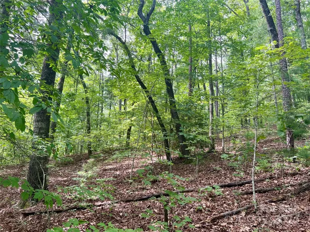 a view of outdoor space and green space