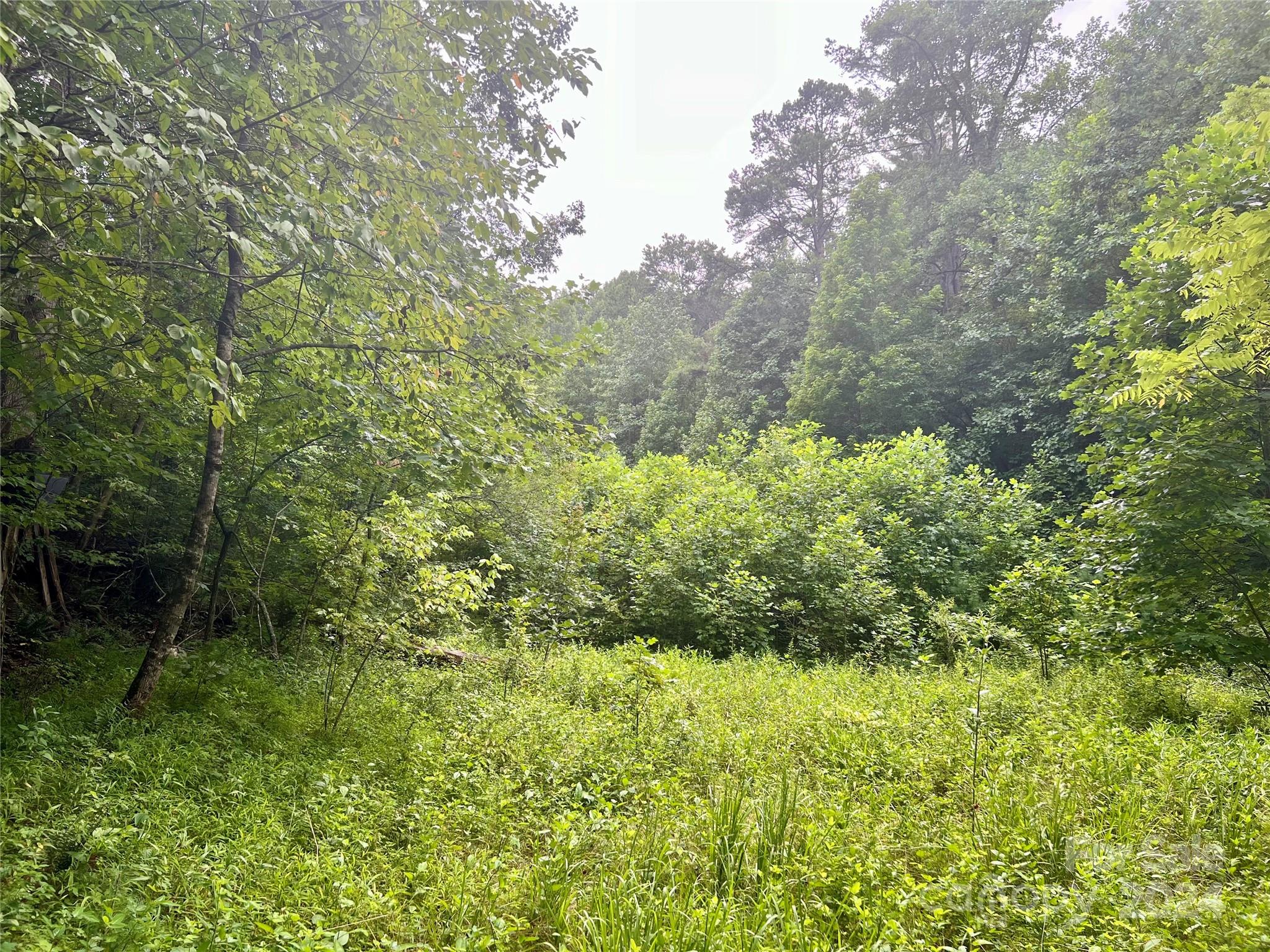 377 Jake Taylor Road Murphy, NC 28906 - Photo 18 of 19 a view of a garden