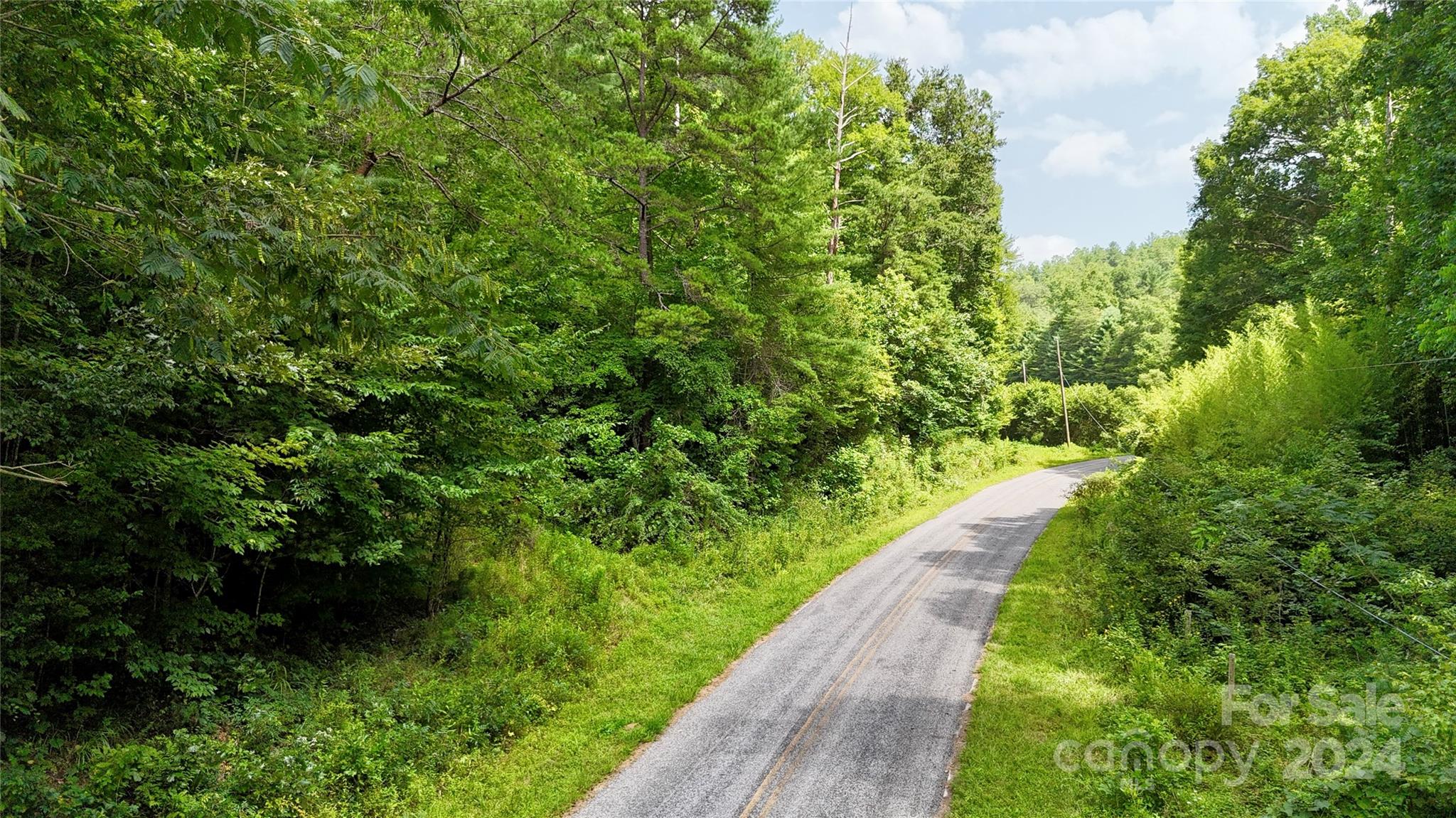 377 Jake Taylor Road Murphy, NC 28906 - Photo 2 of 19 a view of a garden