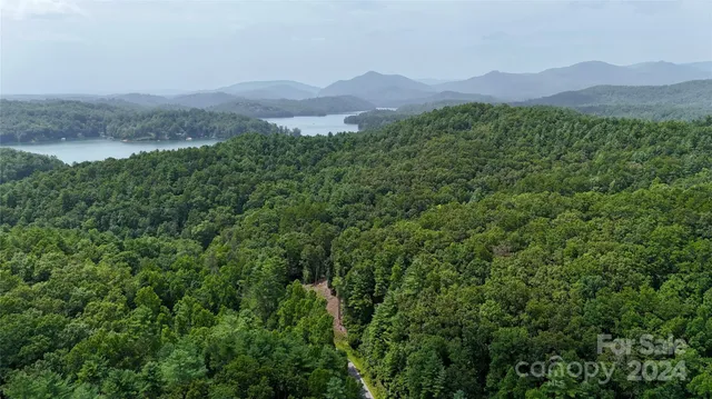 a view of a lush green outdoor space with a mountain in the background