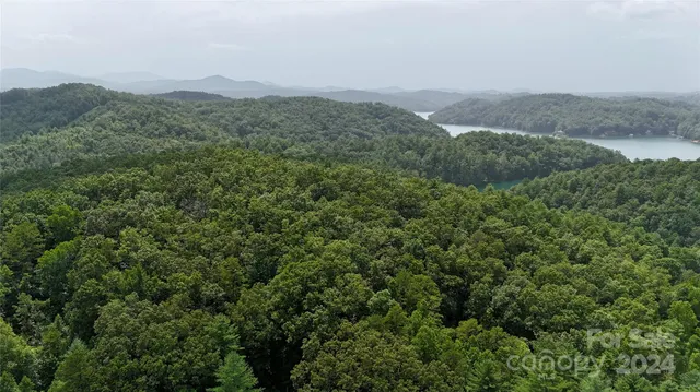a view of a mountain in the distance in a field