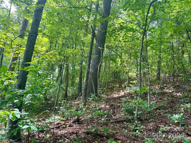 a view of outdoor space and green space