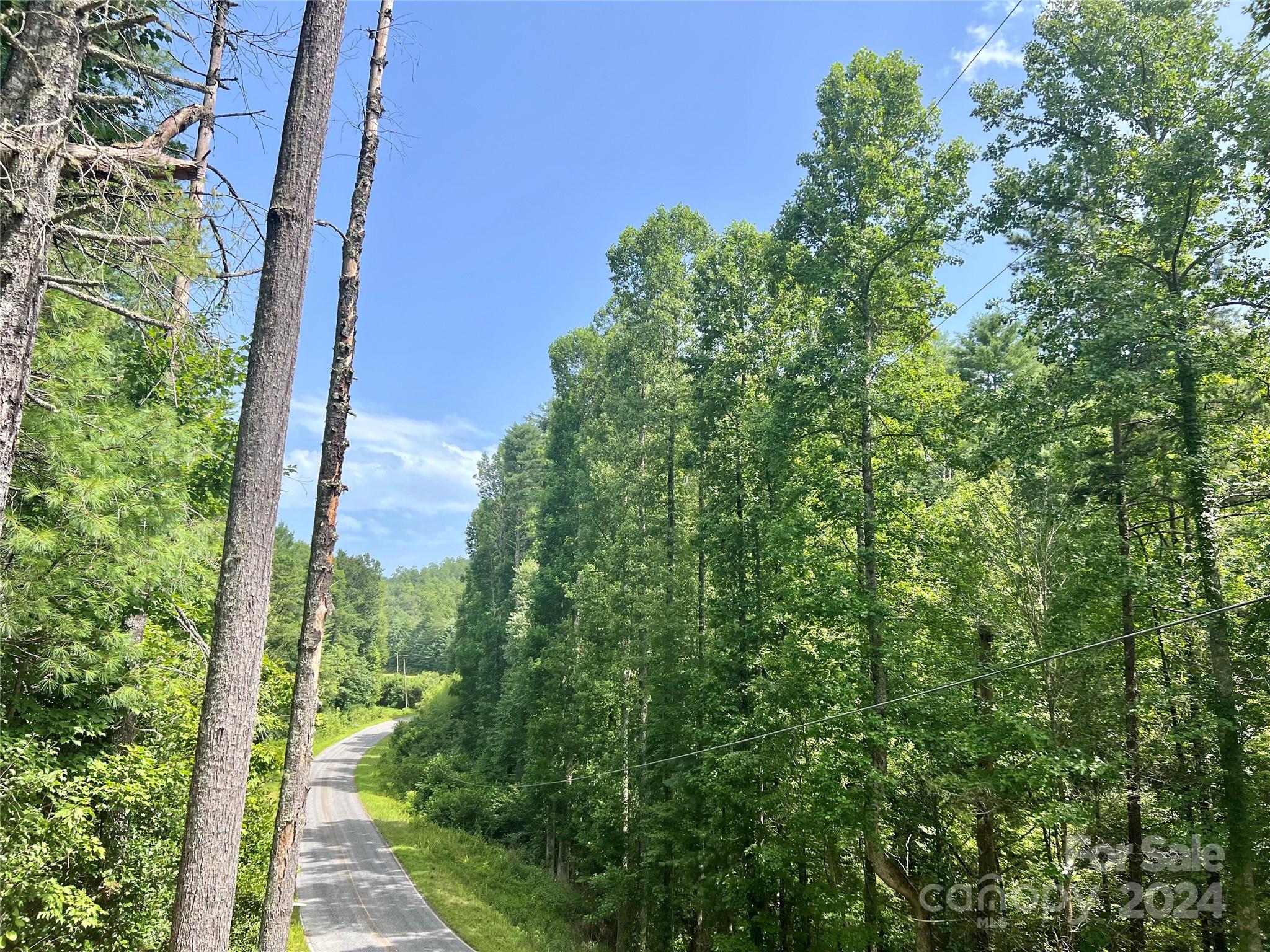 377 Jake Taylor Road Murphy, NC 28906 - Photo 9 of 19 a view of a garden from a window
