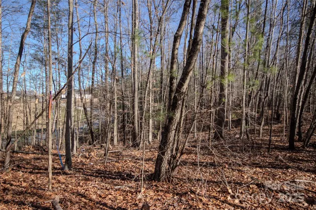 a view of a backyard with pathway