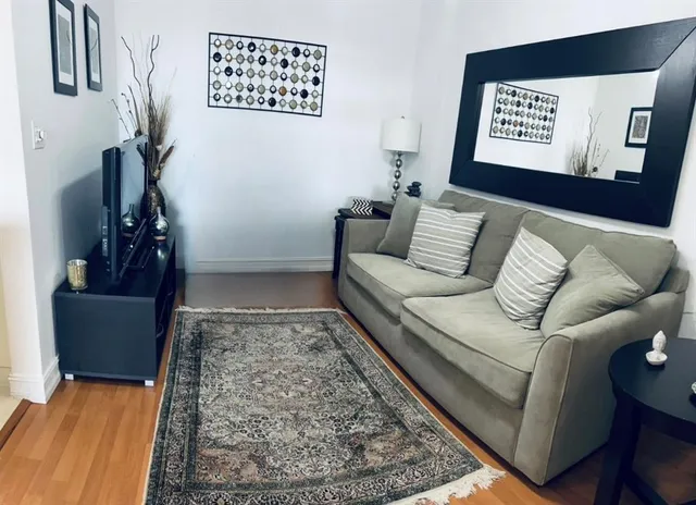 a living room with furniture and a rug