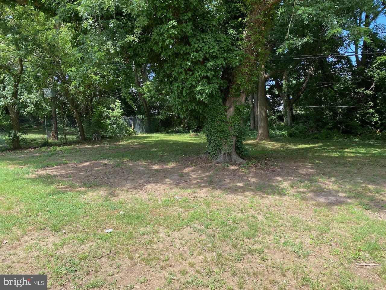 38 Wayne Drive Dover, DE 19901 - Photo 14 of 14