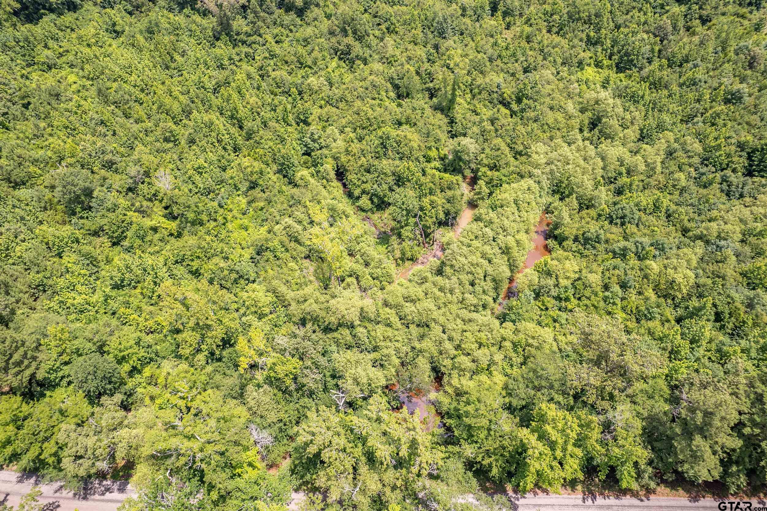 0 C R 353 Tyler, TX 75708 - Photo 5 of 18 a view of a green field