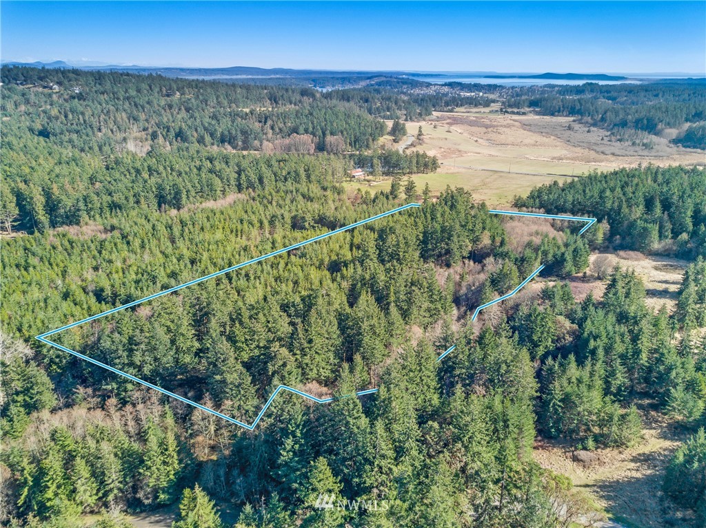 B Ridgedale Road San Juan Island, WA 98250 - Photo 3 of 9 Gallery Image 3