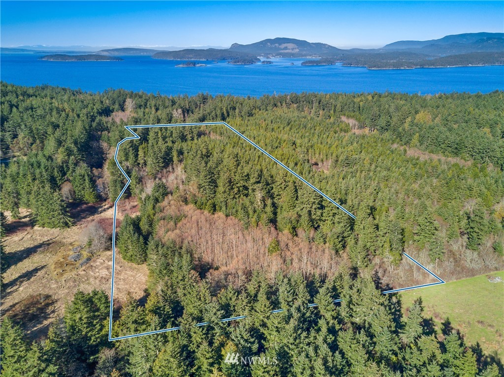 B Ridgedale Road San Juan Island, WA 98250 - Photo 4 of 9 Gallery Image 4