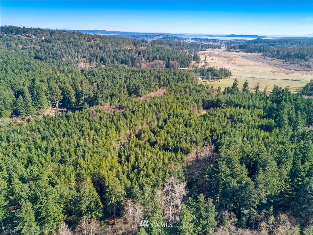 B Ridgedale Road San Juan Island, WA 98250 - Photo 5 of 9 Gallery Image 5