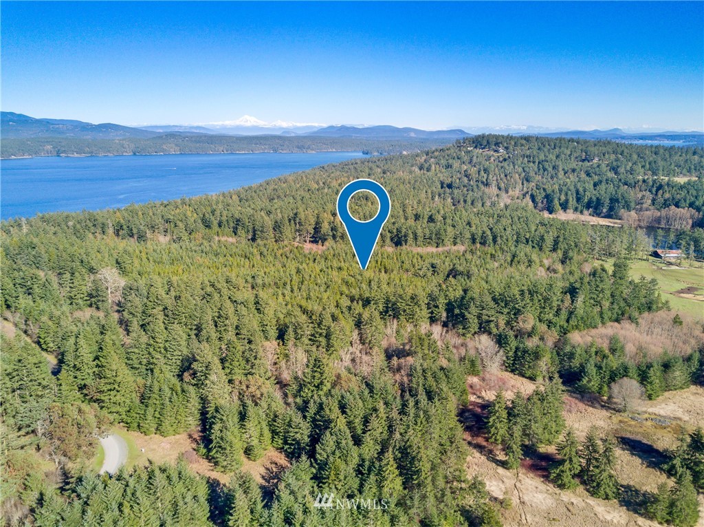 B Ridgedale Road San Juan Island, WA 98250 - Photo 6 of 9 Gallery Image 6