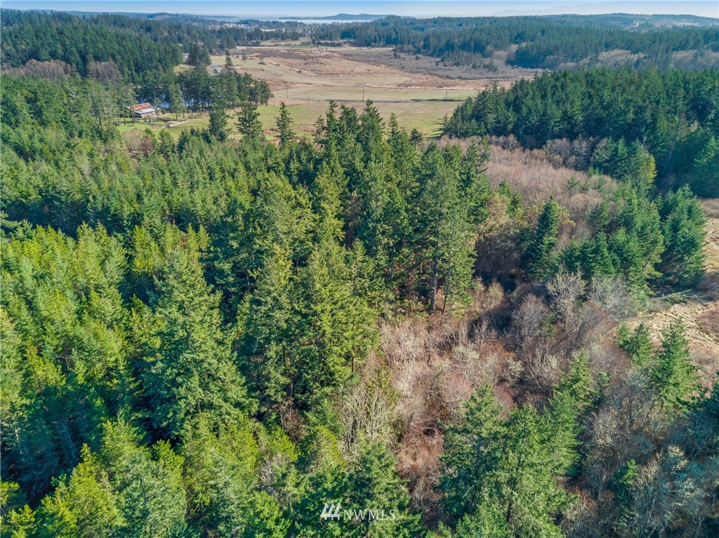 B Ridgedale Road San Juan Island, WA 98250 - Photo 7 of 9 Gallery Image 7