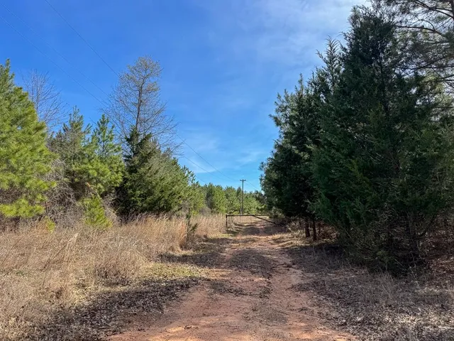 a view of a tree is standing in between the of a yard