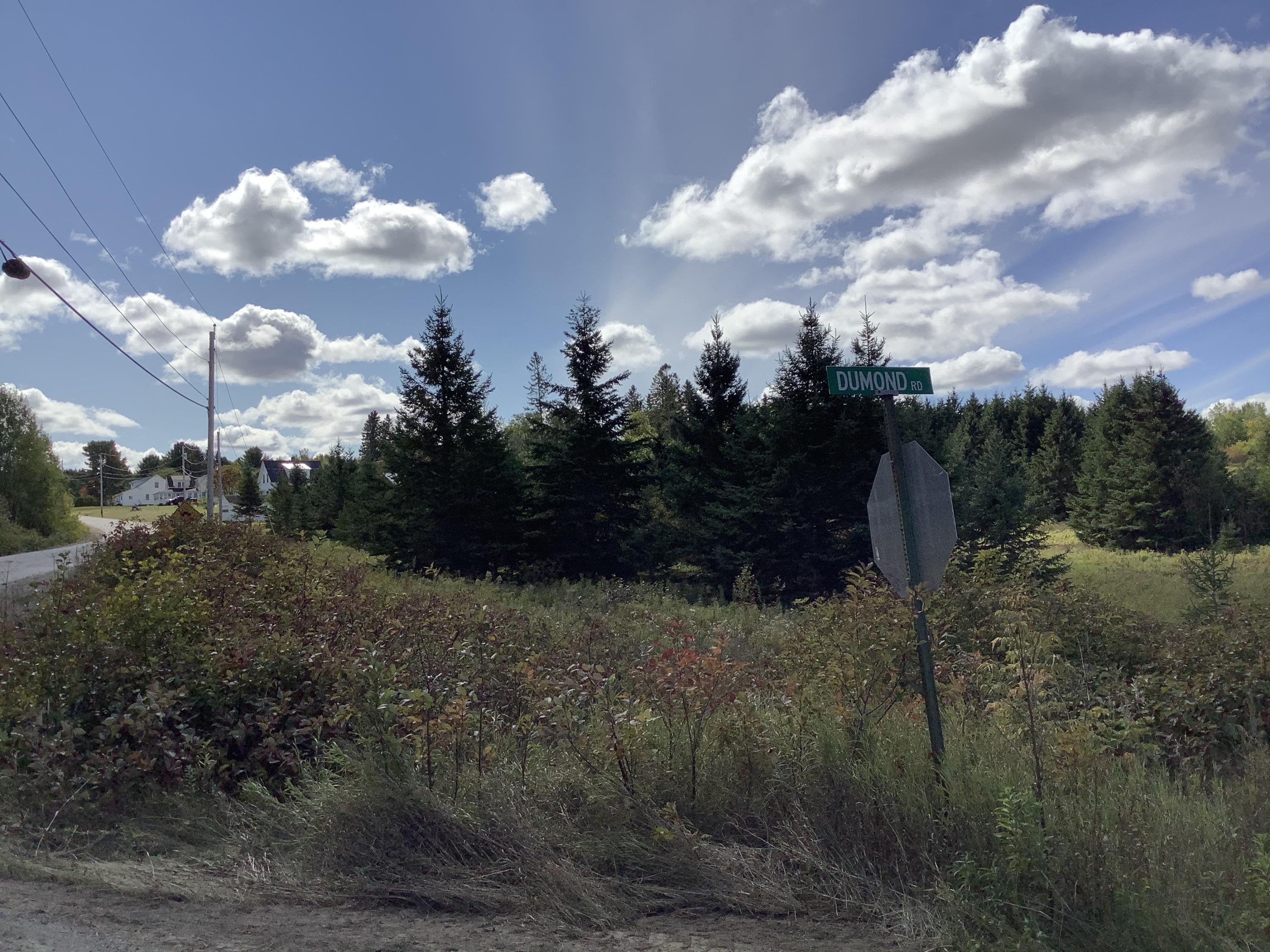 0 Dumond Road Fort Fairfield, ME 04742 - Photo 11 of 13 E5385D66-592E-4DE5-A163-052125C397B7