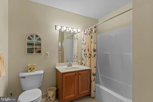 a bathroom with a sink a toilet a mirror a vanity and shower