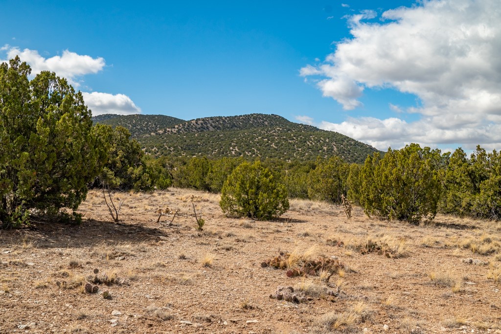 Tbd Hanuman Road Cerrillos, NM 87010 - Photo 23 of 33