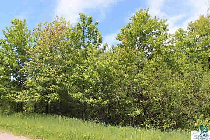 10175 Flagg River Road Port Wing, WI 54865 - Photo 3 of 6