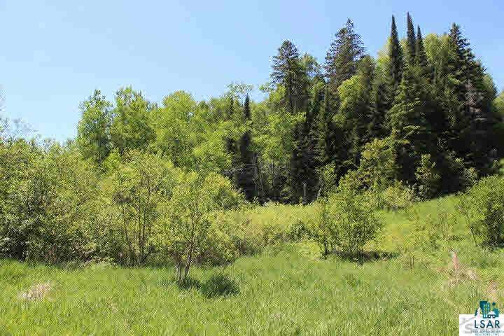 10175 Flagg River Road Port Wing, WI 54865 - Photo 5 of 6