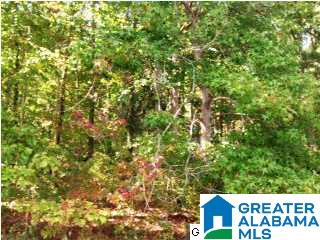 Lakeridge Drive, Unit 4 Ashville, AL 35953 - Photo 19 of 19