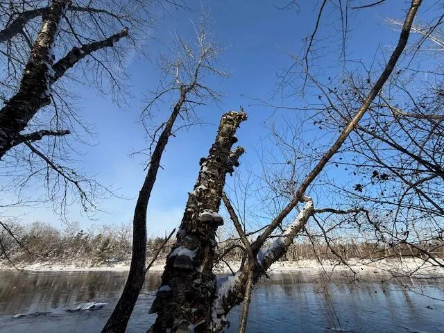 $114,900 | Lot 10 Us-1, Baileyville, ME 04694