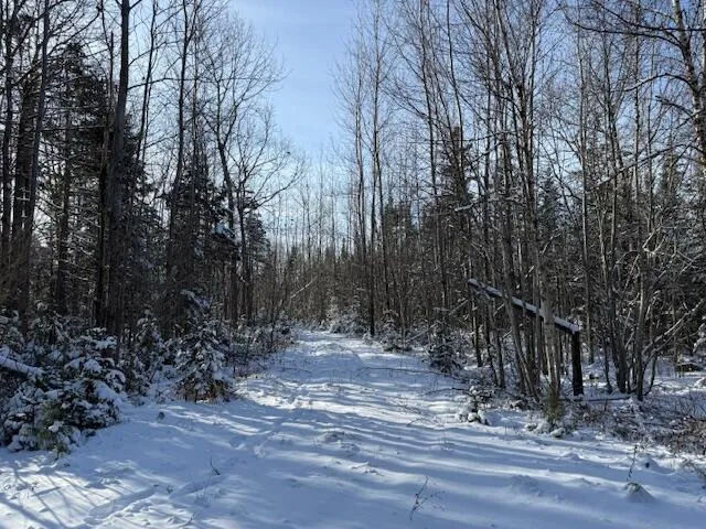 $114,900 | Lot 10 Us-1, Baileyville, ME 04694