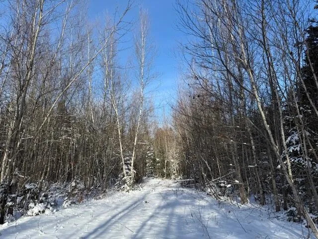 $114,900 | Lot 10 Us-1, Baileyville, ME 04694