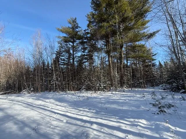 $114,900 | Lot 10 Us-1, Baileyville, ME 04694