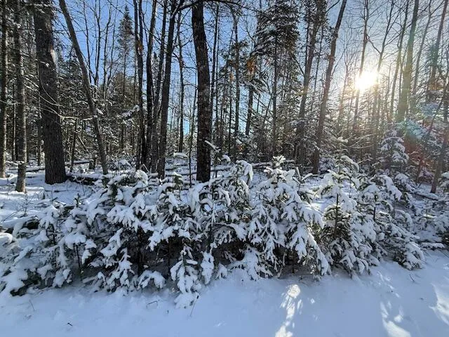 $114,900 | Lot 10 Us-1, Baileyville, ME 04694