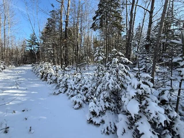 $114,900 | Lot 10 Us-1, Baileyville, ME 04694
