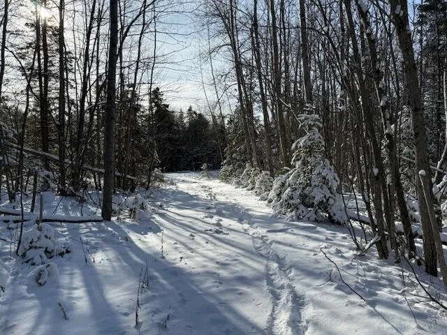 $114,900 | Lot 10 Us-1, Baileyville, ME 04694