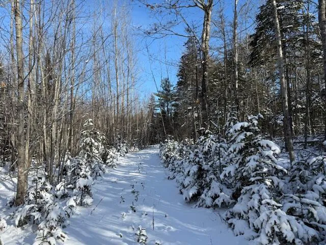 $114,900 | Lot 10 Us-1, Baileyville, ME 04694