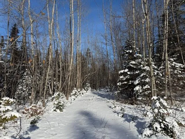 $114,900 | Lot 10 Us-1, Baileyville, ME 04694