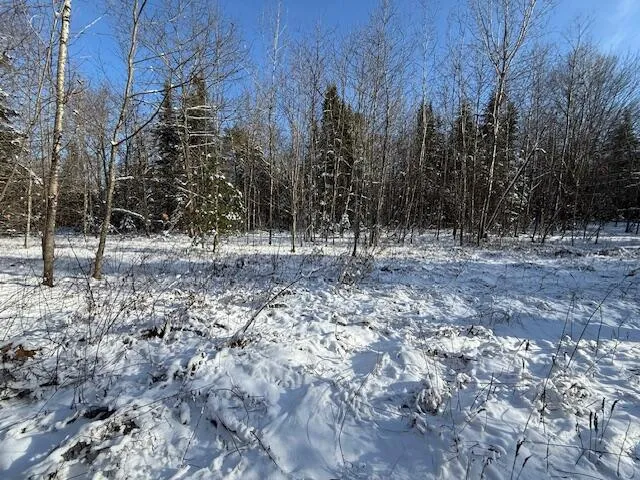 $114,900 | Lot 10 Us-1, Baileyville, ME 04694