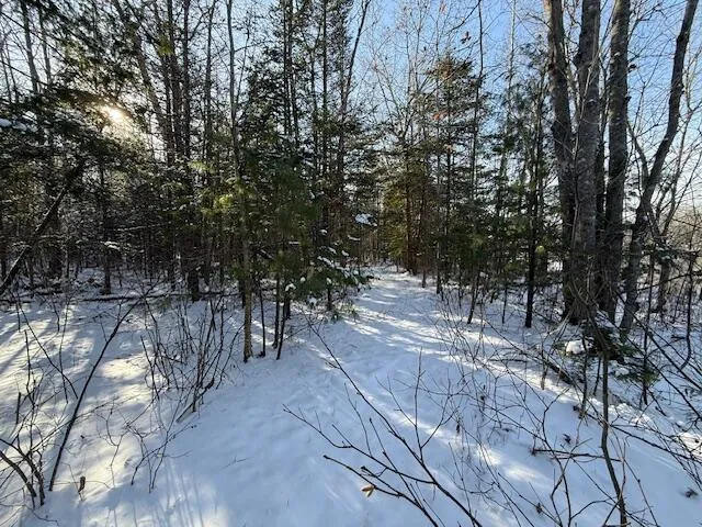$114,900 | Lot 10 Us-1, Baileyville, ME 04694