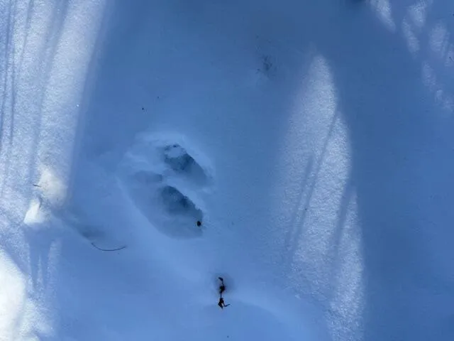 $114,900 | Lot 10 Us-1, Baileyville, ME 04694