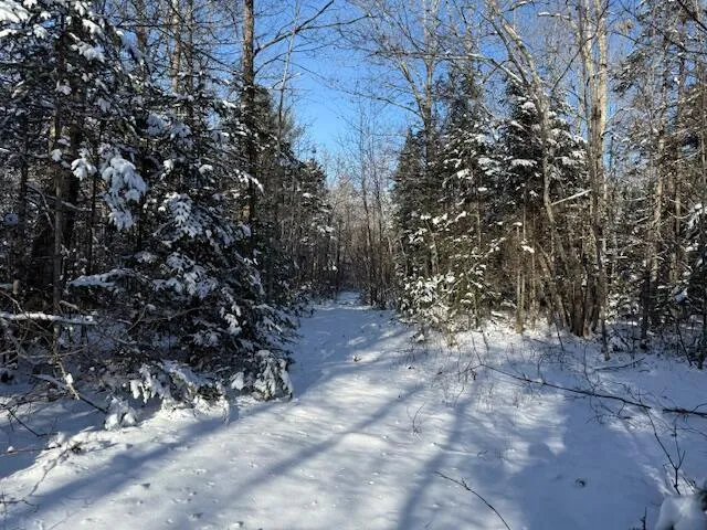 $114,900 | Lot 10 Us-1, Baileyville, ME 04694
