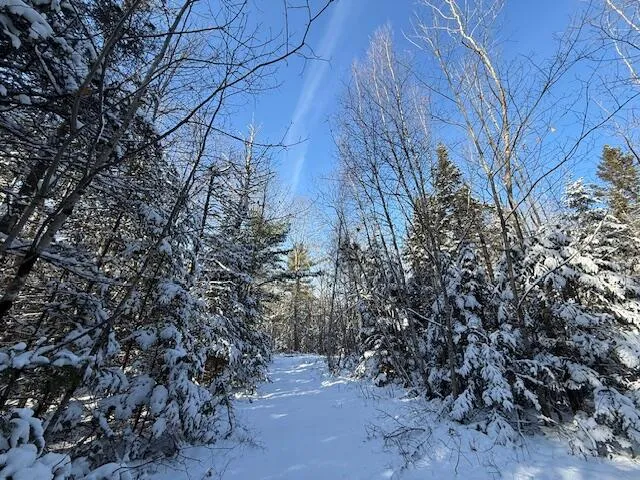 $114,900 | Lot 10 Us-1, Baileyville, ME 04694