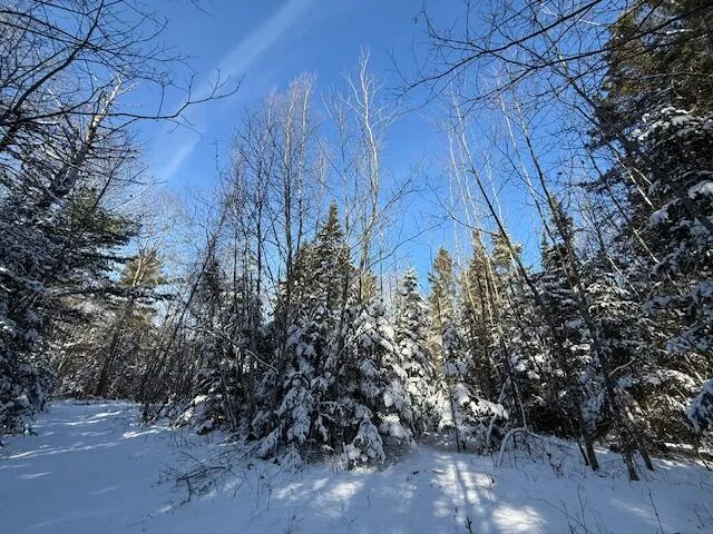 $114,900 | Lot 10 Us-1, Baileyville, ME 04694