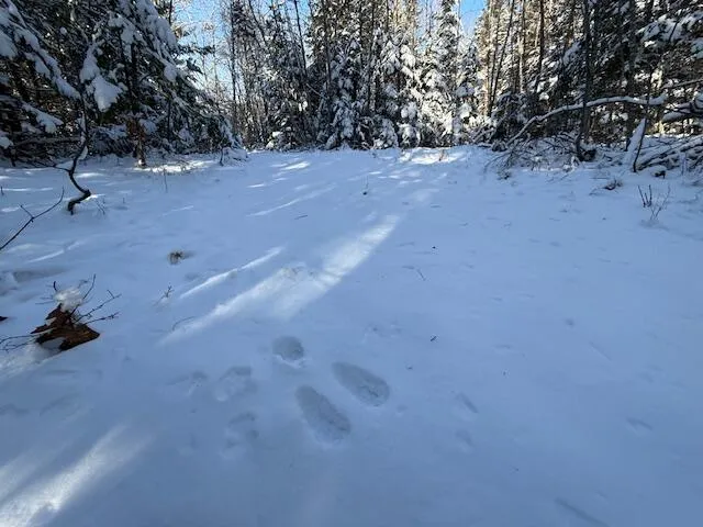 $114,900 | Lot 10 Us-1, Baileyville, ME 04694