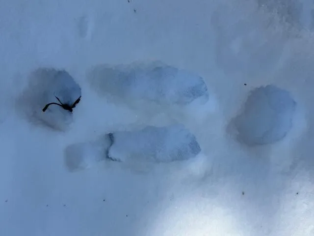 $114,900 | Lot 10 Us-1, Baileyville, ME 04694