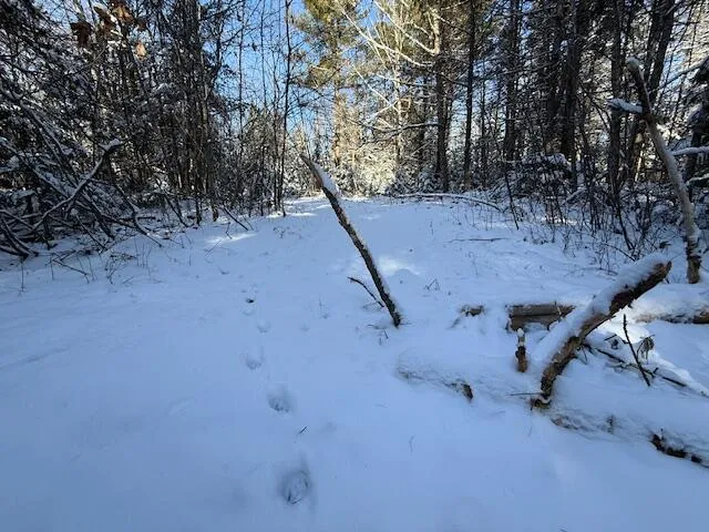 $114,900 | Lot 10 Us-1, Baileyville, ME 04694