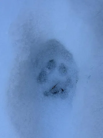 $114,900 | Lot 10 Us-1, Baileyville, ME 04694